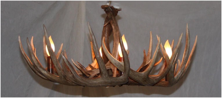 whitetail antler chandelier