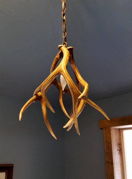 Small antler ceiling light discount
