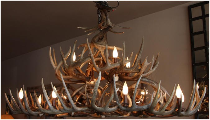 Large whitetail antler chandelier