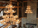 large whitetail chandelier