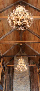 Large whitetail chandelier