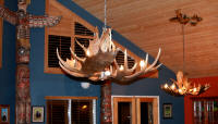 moose antler chandeliers