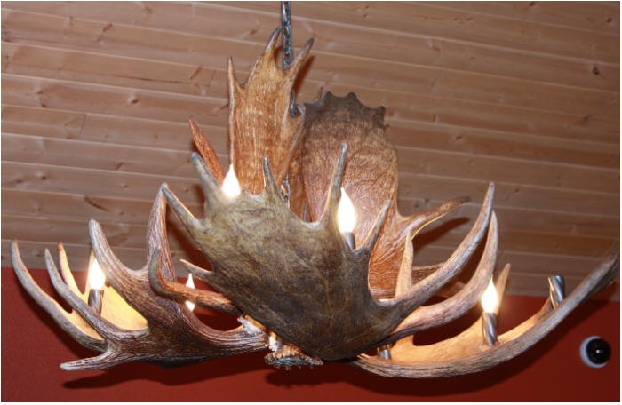 moose antler chandelier