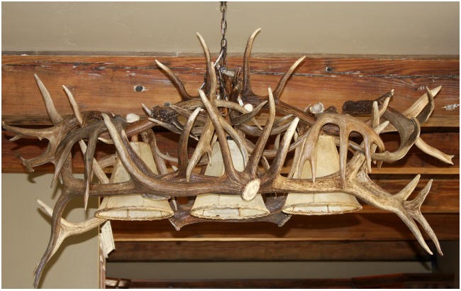 elk and deer antler chandelier