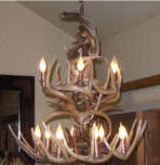 whitetail antler chandelier